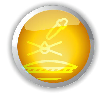 PLASTICIZERS
